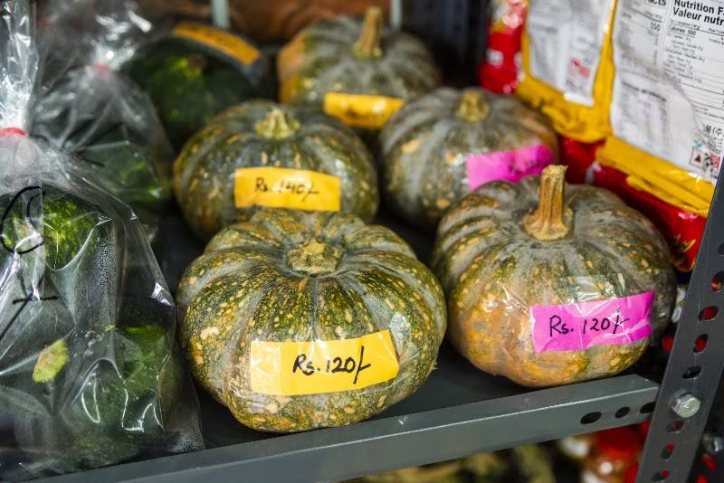 Rose - The Northeast Mart